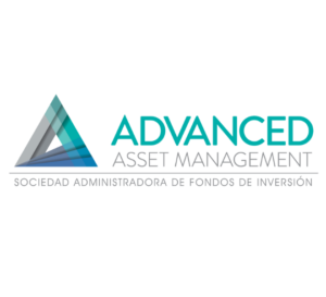 logo advanced asset